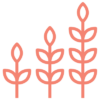 grow grow