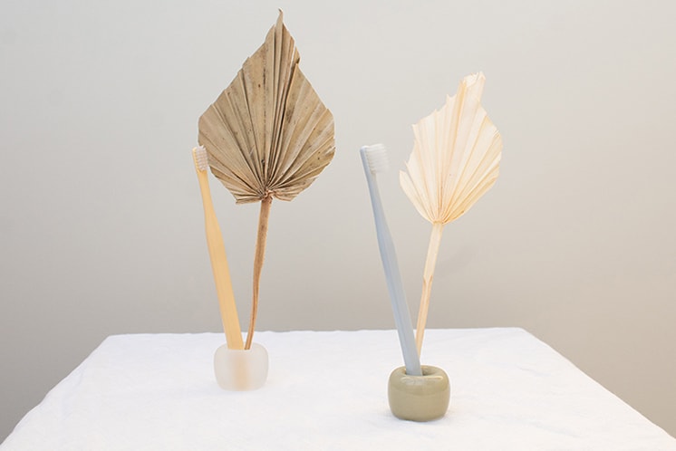 Two toothbrushes on a table with decor