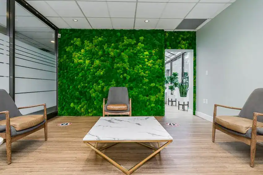 dentist delta