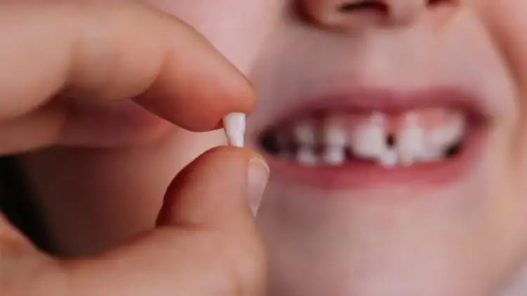 baby teeth